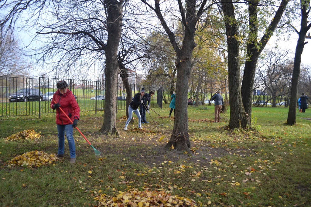 DSC_1917.JPG