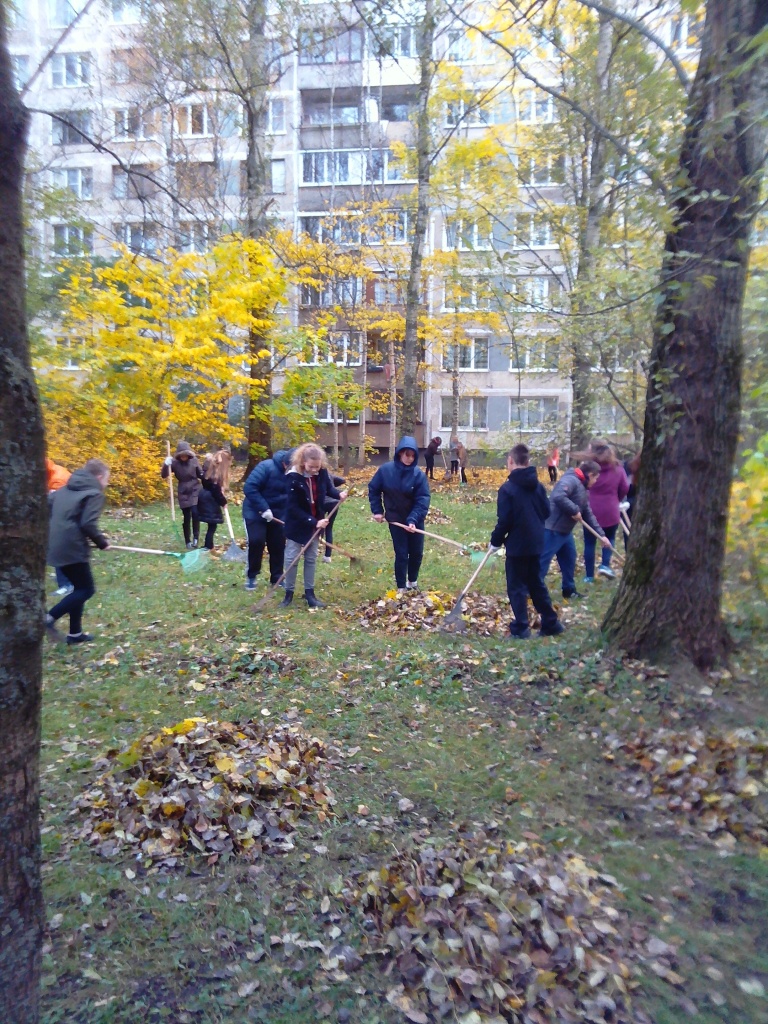 IMG_20171021_104024.jpg
