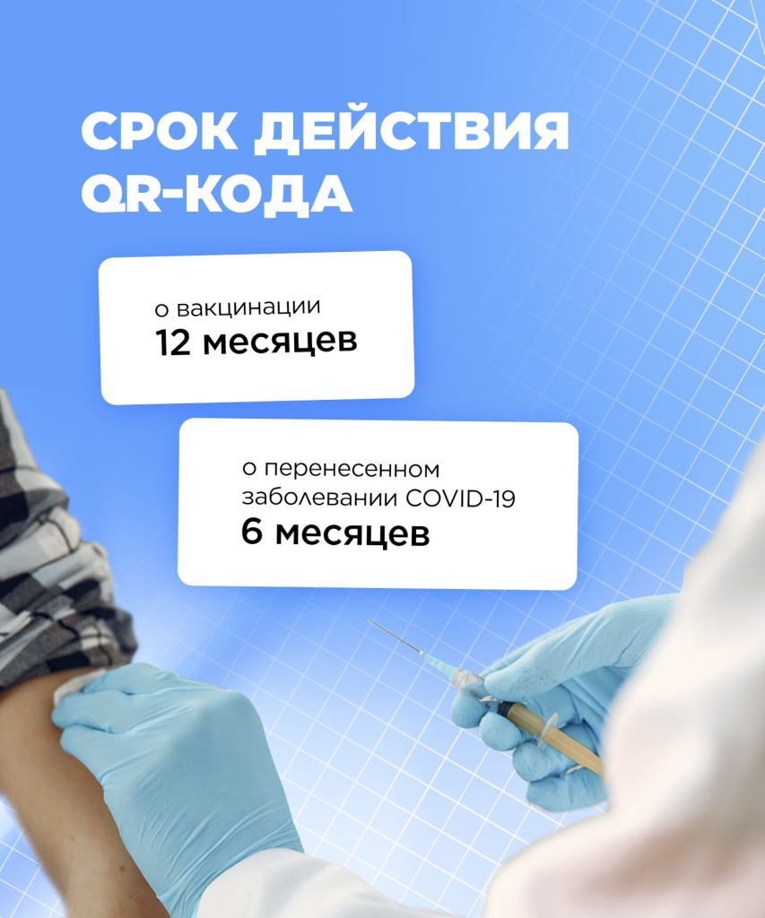 QR код инфографика (8).jpg