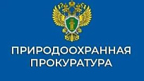 Экологическая отчетность: виды и сроки подачи