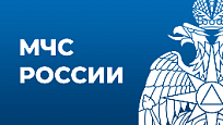 Жертвы безответственности взрослых