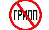 Профилактика гриппа и ОРВИ  в период подъема заболеваемости