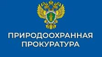 Простые правила законной рубки зеленых насаждений