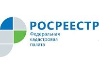 В Кадастровой палате рассказали, какие документы «забывали» россияне в 2019 году