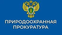 Содержание диких животных в домашних условиях